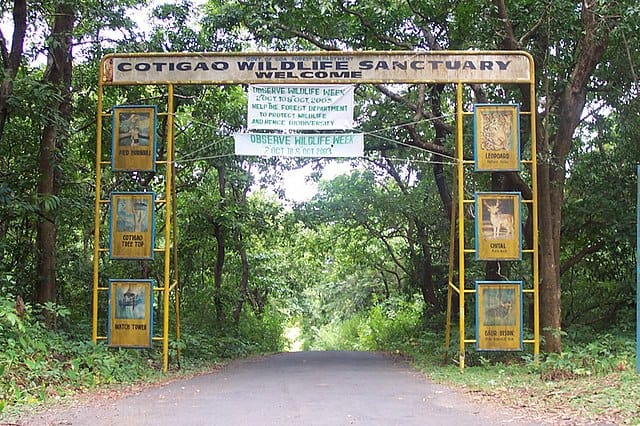 Cotigao Wildlife Sanctuary - places to visit in goa