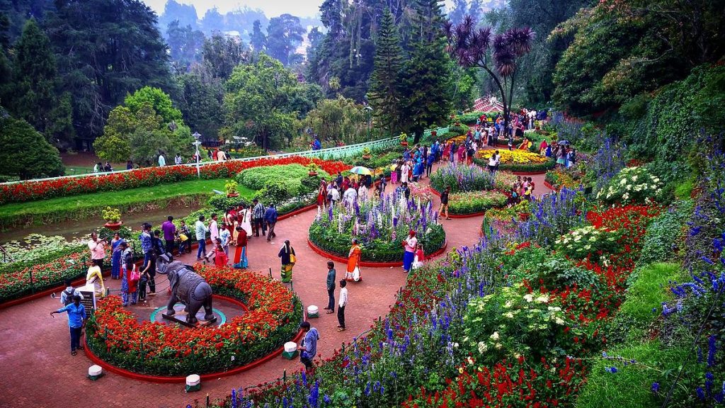 Botanical Garden - places to visit in ooty
