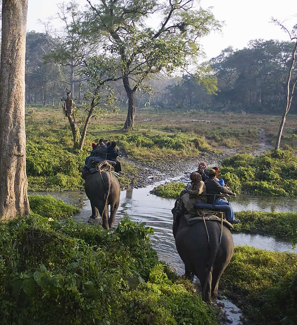 Jaldapara National Park - places to visit in West Bengal