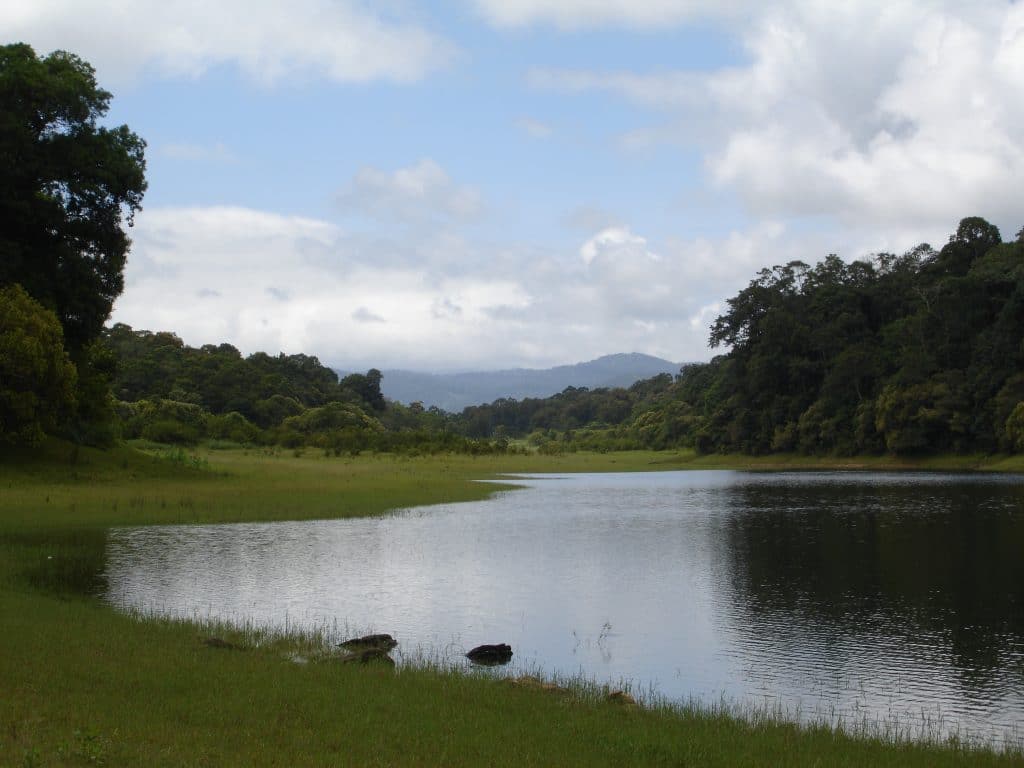 Periyar national park - places to visit in south India