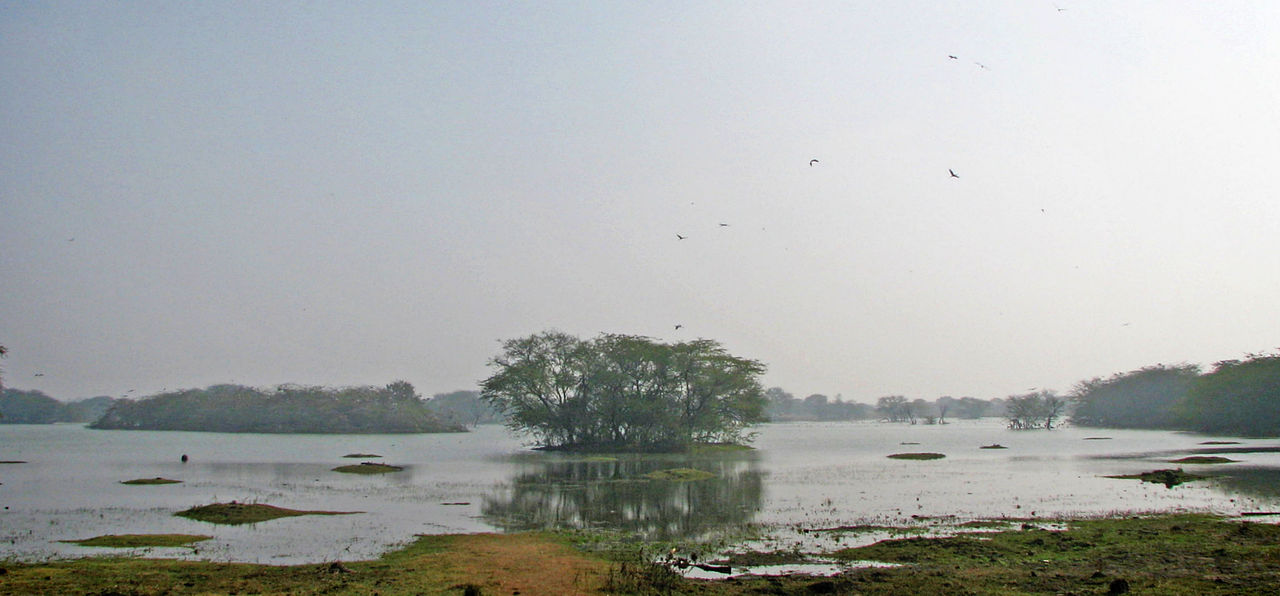 Sultanpur Bird Sanctuary - places to Visit in Haryana
