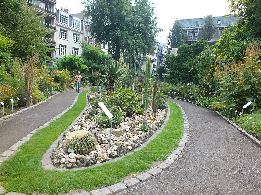 Botanical Garden OOty