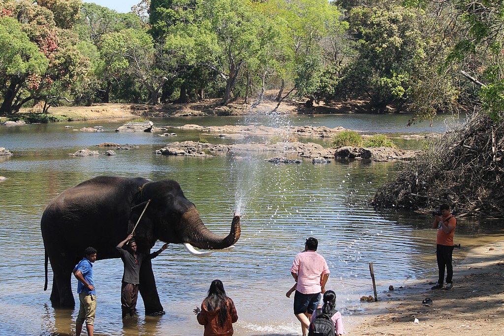 Dubare Elephant Camp-places to visit in Coorg