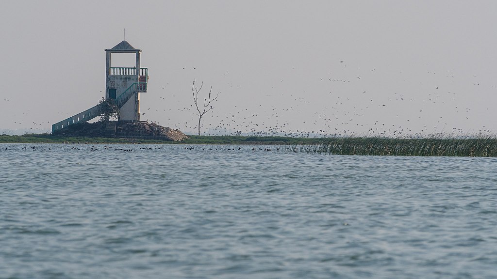Nalabana Bird Sanctuary
