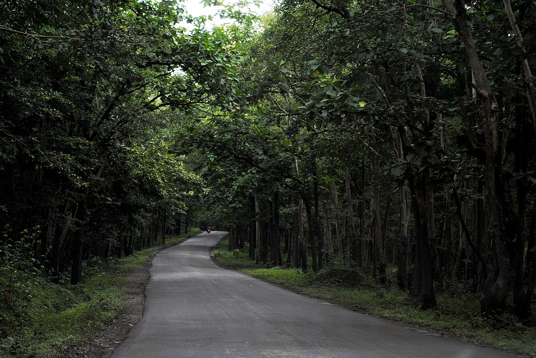 Anshi National Park 