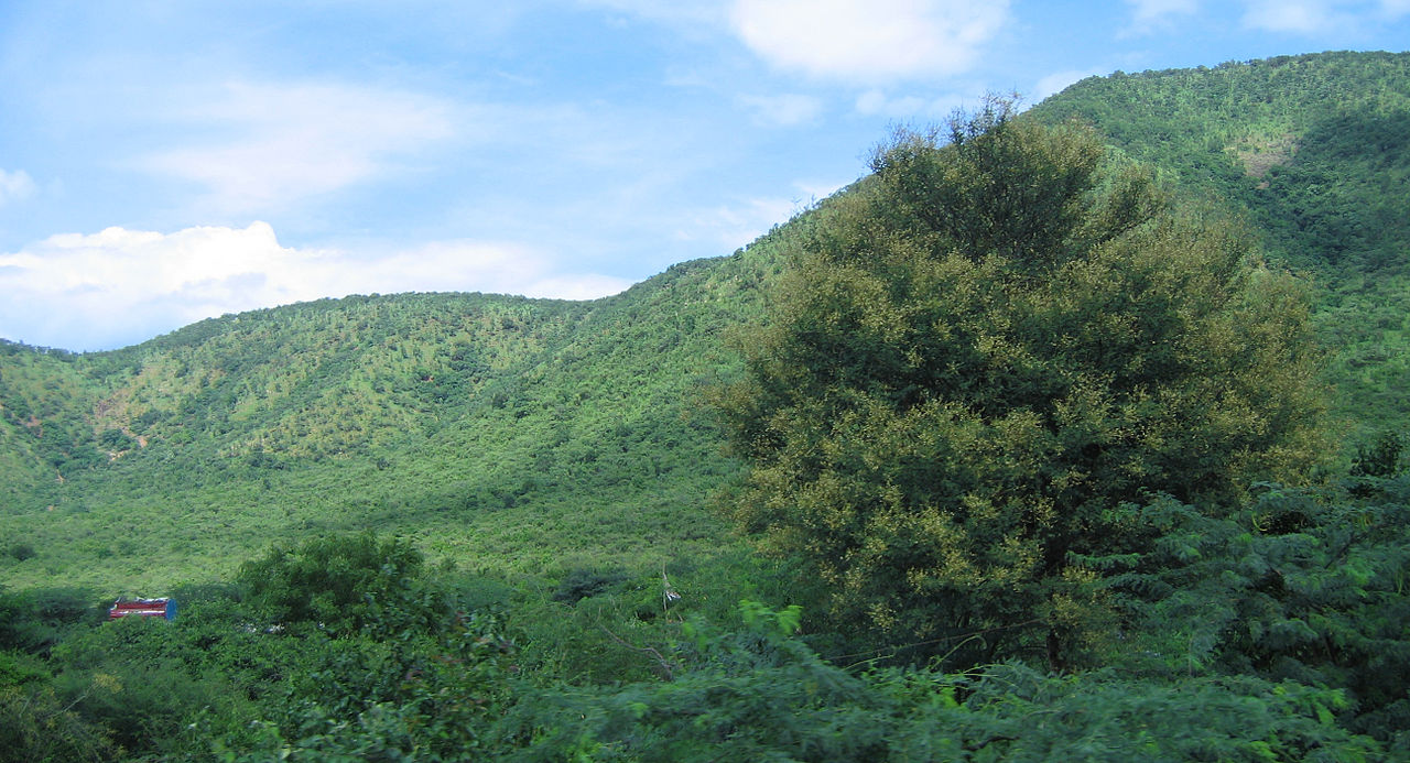 Nagari Hills