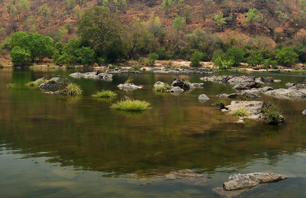 Doddamakali Nature Camp places to visit in bheemeshwari