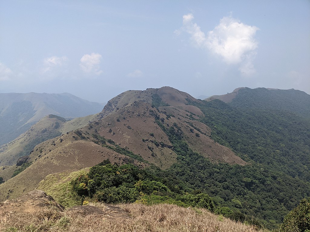 Tadiandamol Peak-places to visit in Coorg
