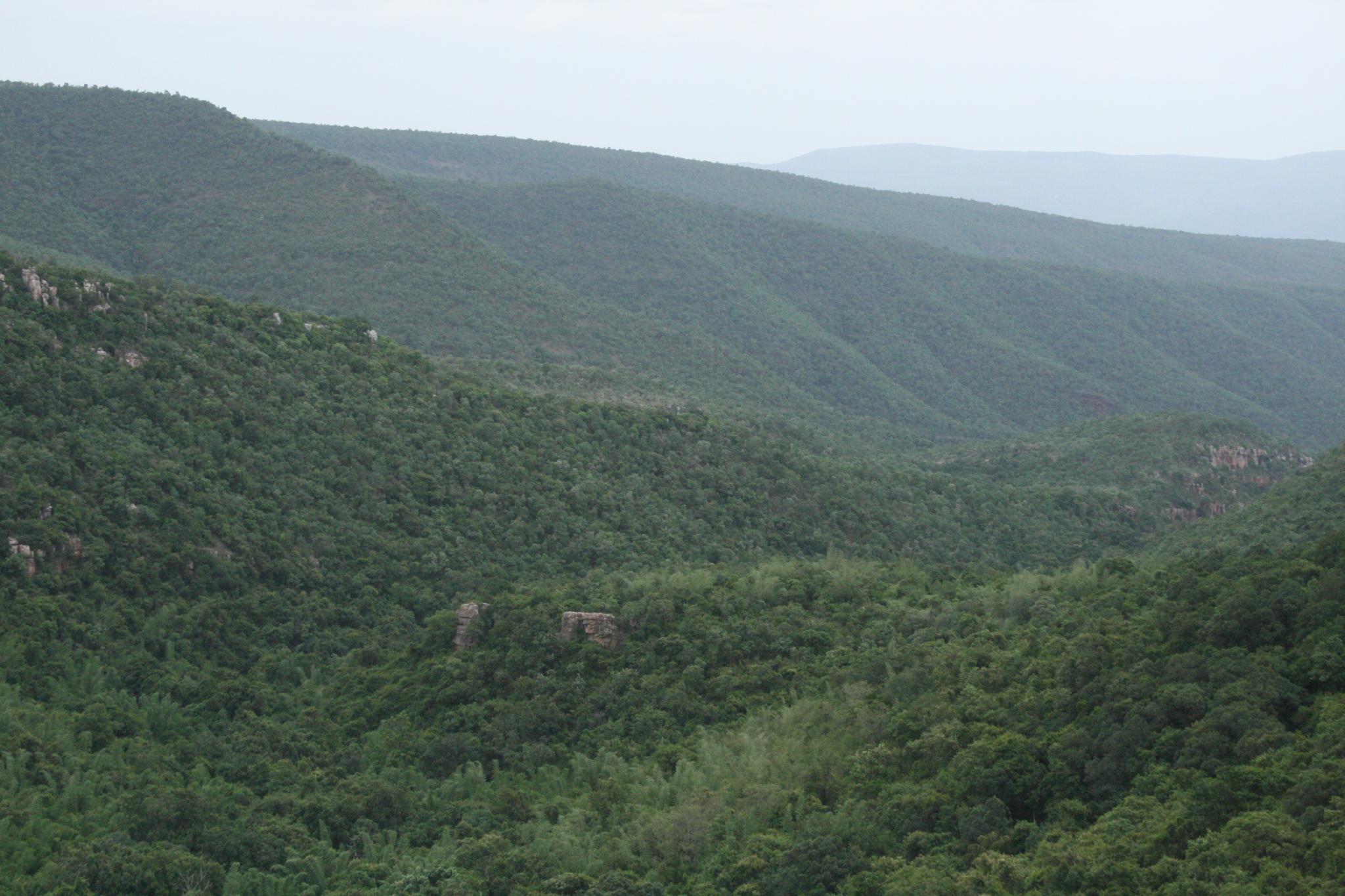 Shri Venkateswara National Park